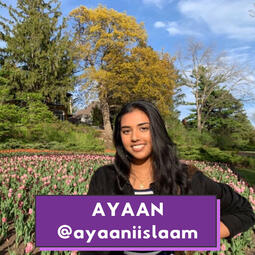 Ayaan